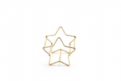 Star imitation gold sponge egg support